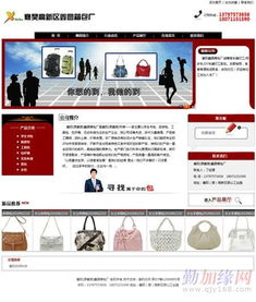 网站建设的全面指南 从规划到上线